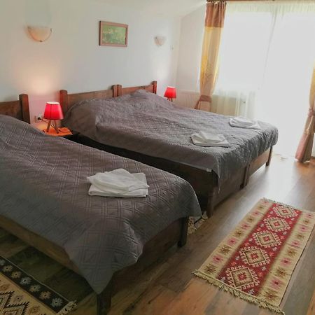 Pensiunea Albina Sinnicoara Oda fotoğraf