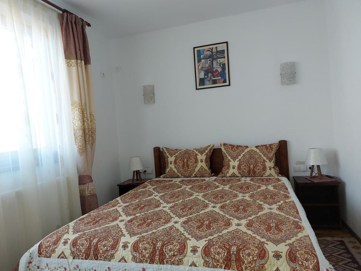 Pensiunea Albina Sinnicoara Dış mekan fotoğraf