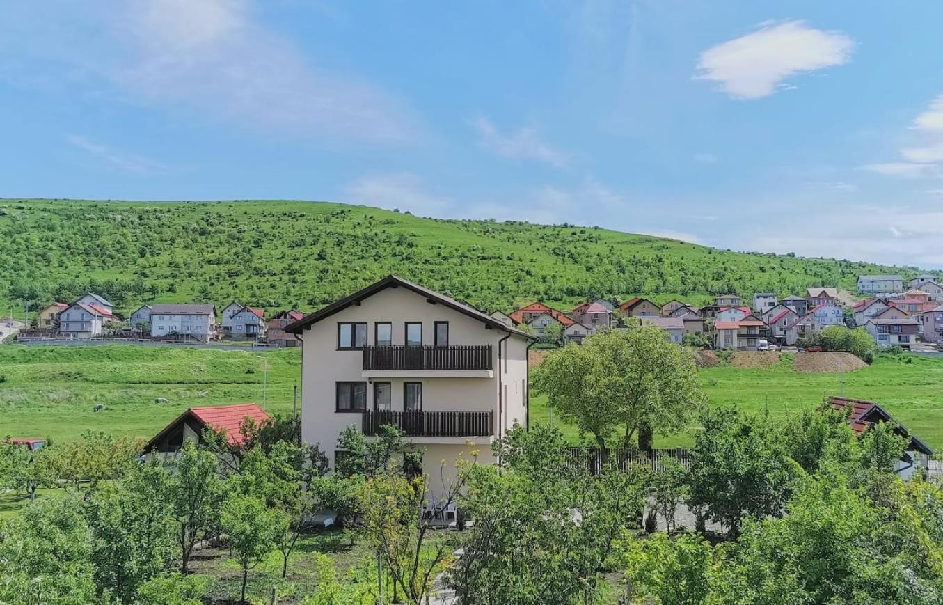 Pensiunea Albina Sinnicoara Dış mekan fotoğraf