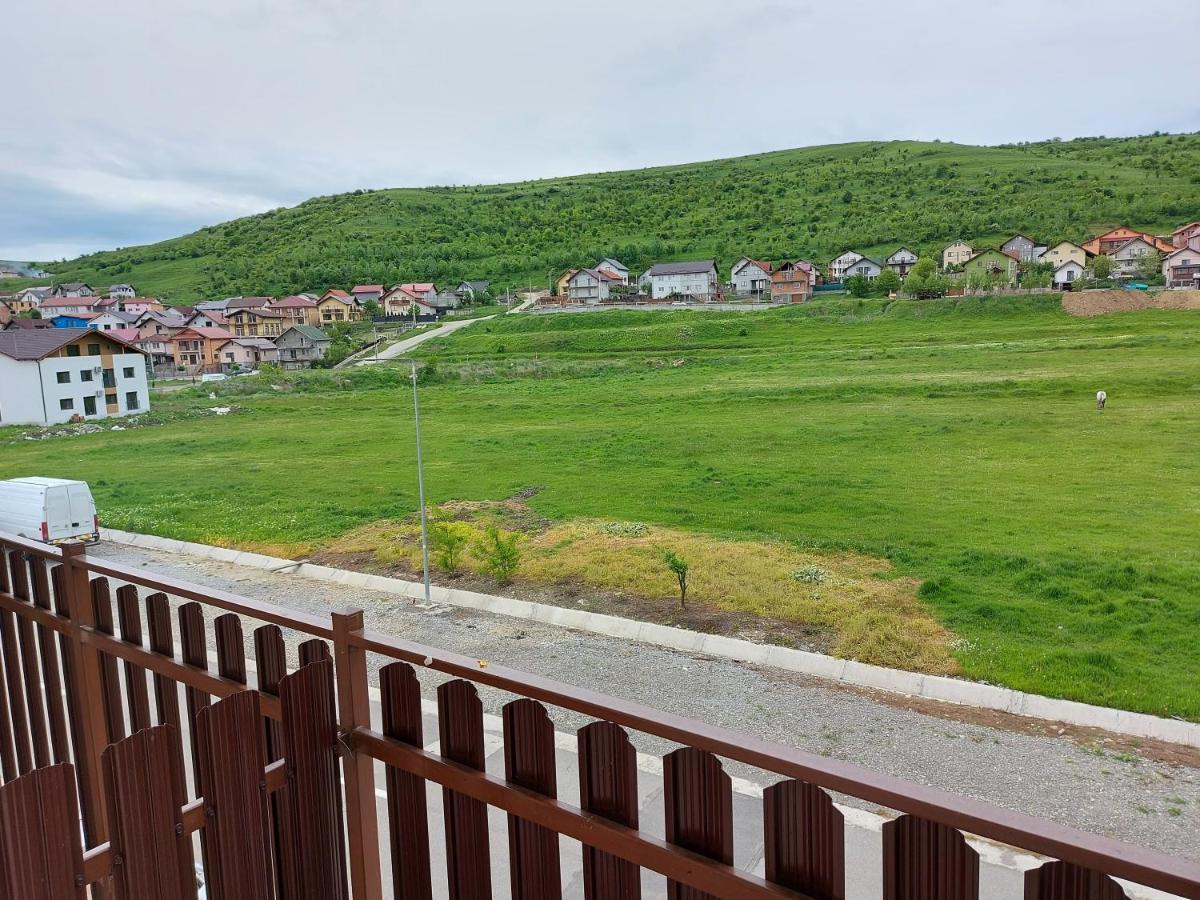 Pensiunea Albina Sinnicoara Dış mekan fotoğraf