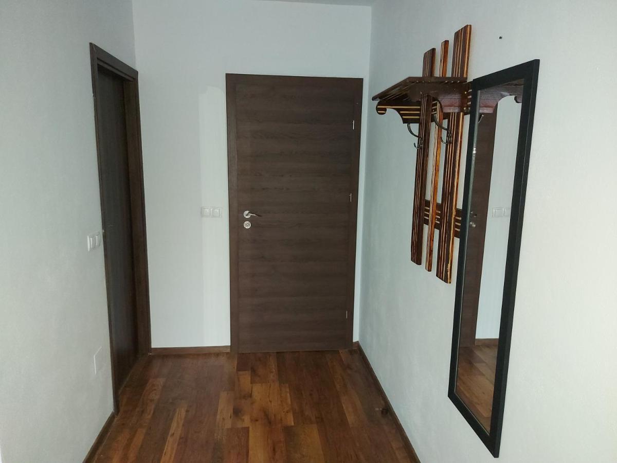 Pensiunea Albina Sinnicoara Dış mekan fotoğraf