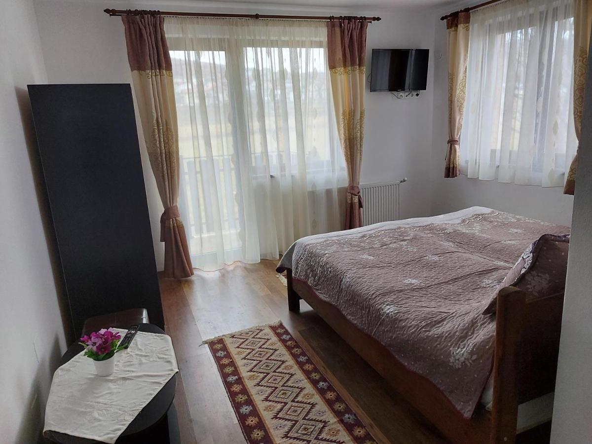Pensiunea Albina Sinnicoara Dış mekan fotoğraf