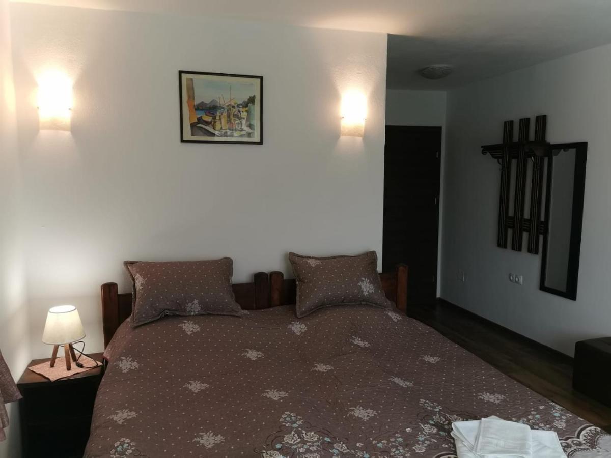 Pensiunea Albina Sinnicoara Dış mekan fotoğraf