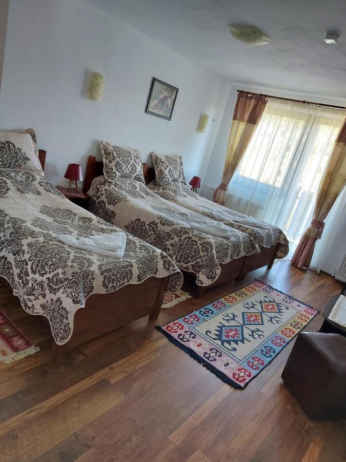 Pensiunea Albina Sinnicoara Dış mekan fotoğraf