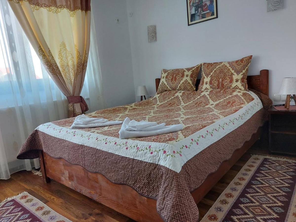 Pensiunea Albina Sinnicoara Dış mekan fotoğraf