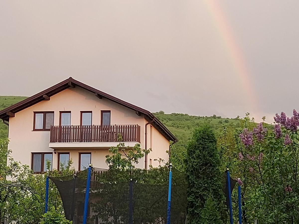 Pensiunea Albina Sinnicoara Dış mekan fotoğraf