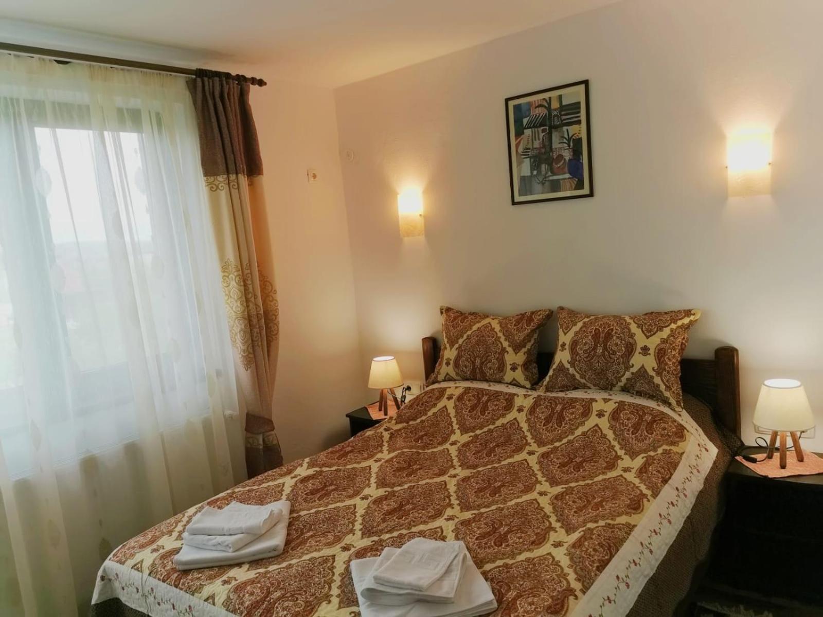 Pensiunea Albina Sinnicoara Oda fotoğraf